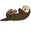 Otter Odyssey